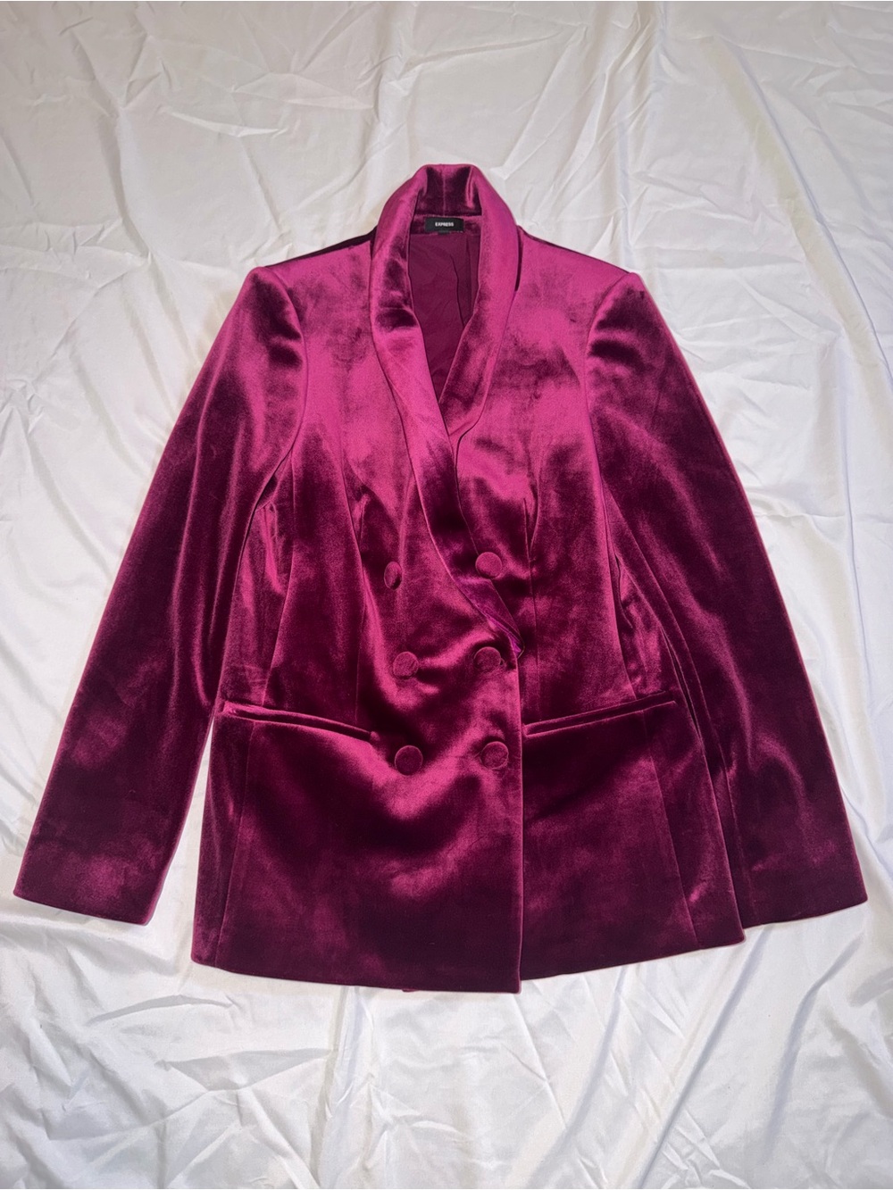 Express Magenta Berry Velvet Double Breasted Blazer Size Small